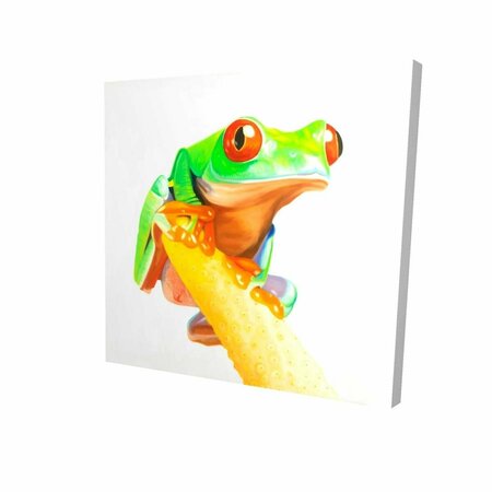 FONDO 16 x 16 in. Curious Red Eyed Frog-Print on Canvas FO2795155
